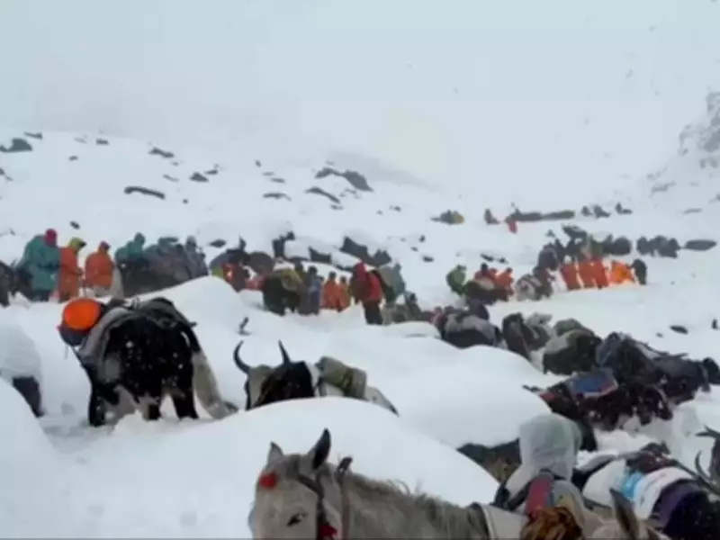 Mount Everest Insurance Scandal: $20-Million Fraud Involving Staged Rescues Exposed