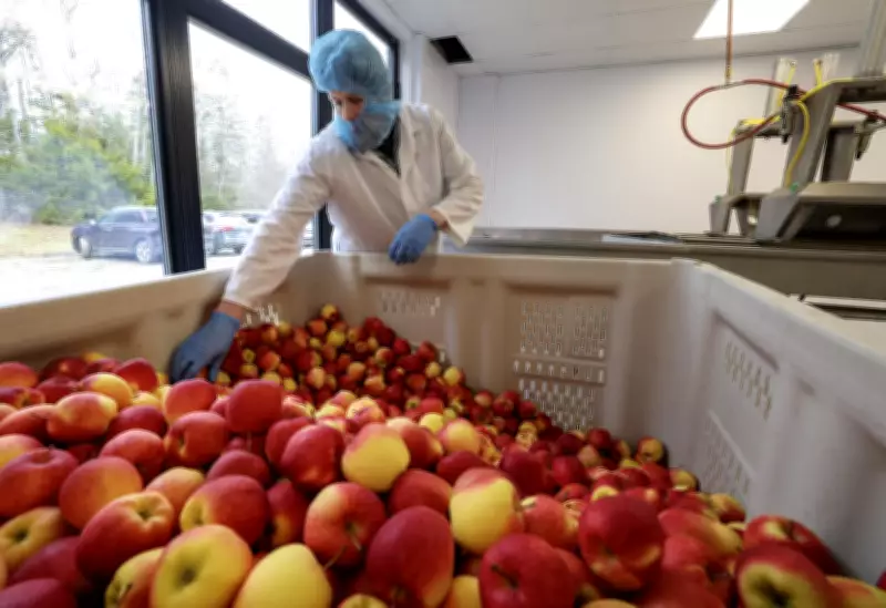 New Apple Slicer Equipment Boosts Local Produce in Nova Scotia Schools and Hospitals