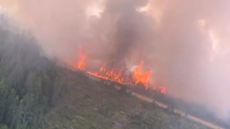 New Brunswick Launches Wildfire Season Early Due to Lack of Snow