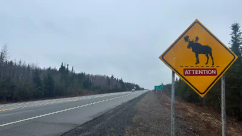 New Brunswick Residents Advocate for Expanded Wildlife Fencing on Highway 7
