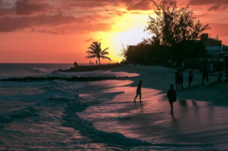 New Non-Stop Flight from Halifax to Barbados to Launch This Year