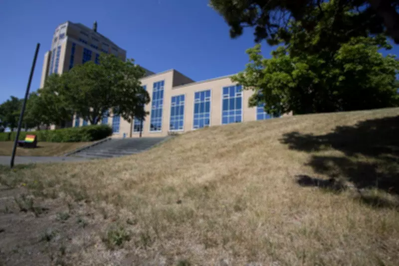 Newfoundland minister's AI use sparks tears in legislature