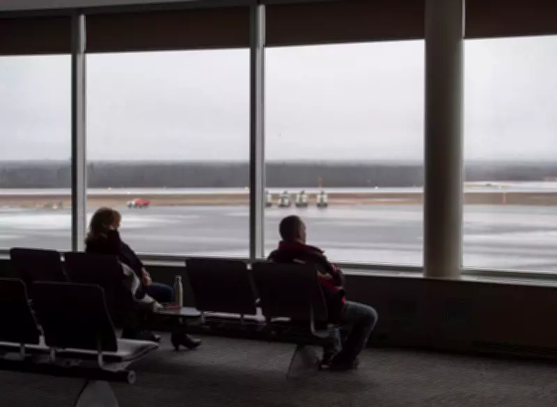 Newfoundland Tourism Minister Dispels 'Freezing Island' Myth, Promotes Year-Round Appeal