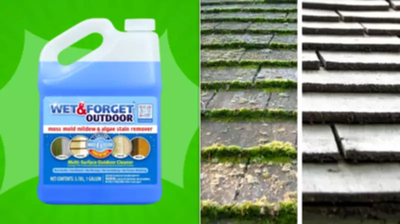 No-Scrub Outdoor Cleaner That Works Better Than a Pressure Washer for $30