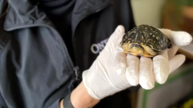 Northern Ontario Wildlife Centre Launches Online Auction for Critical Support