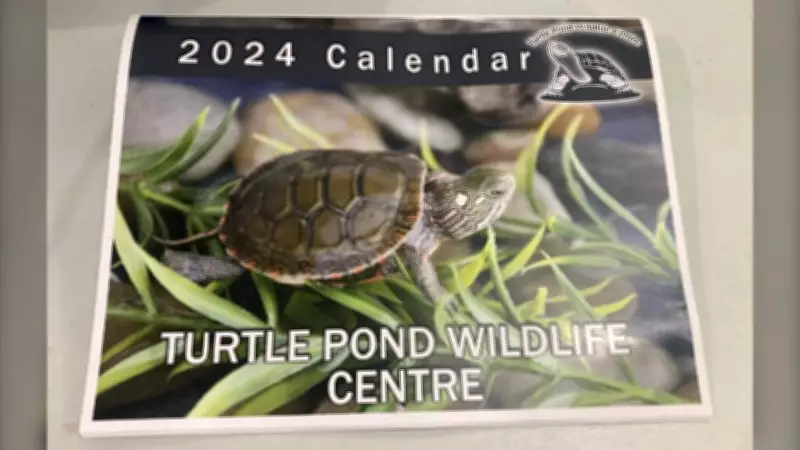 Northern Ontario Wildlife Rehab Center's Calendar Sale Supports Animal Rescue Efforts