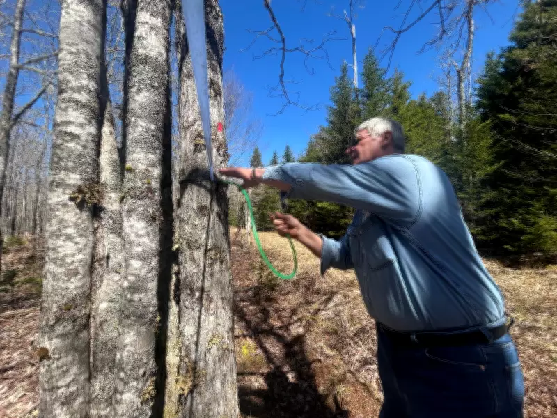 Nova Scotia Maple Syrup Producer Fights Eviction Notice