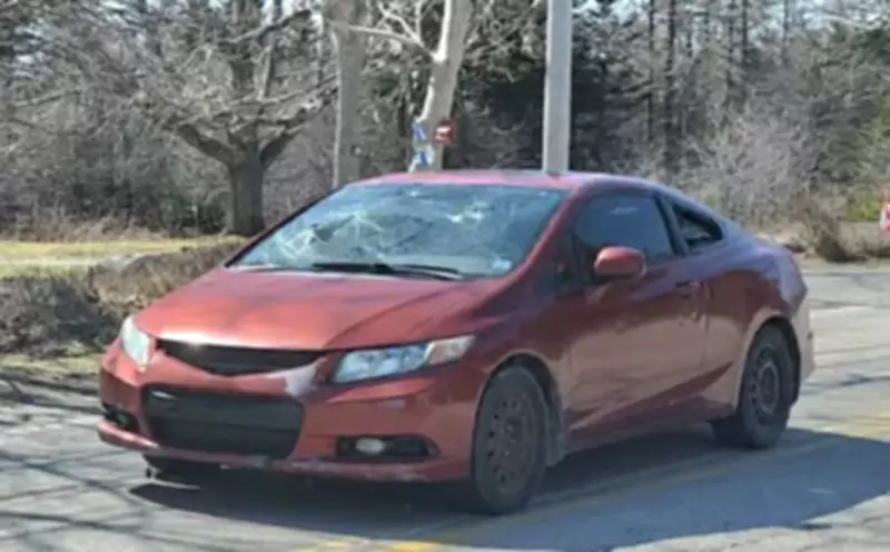 Nova Scotia RCMP Launch Search for Driver Who Allegedly Fled Police