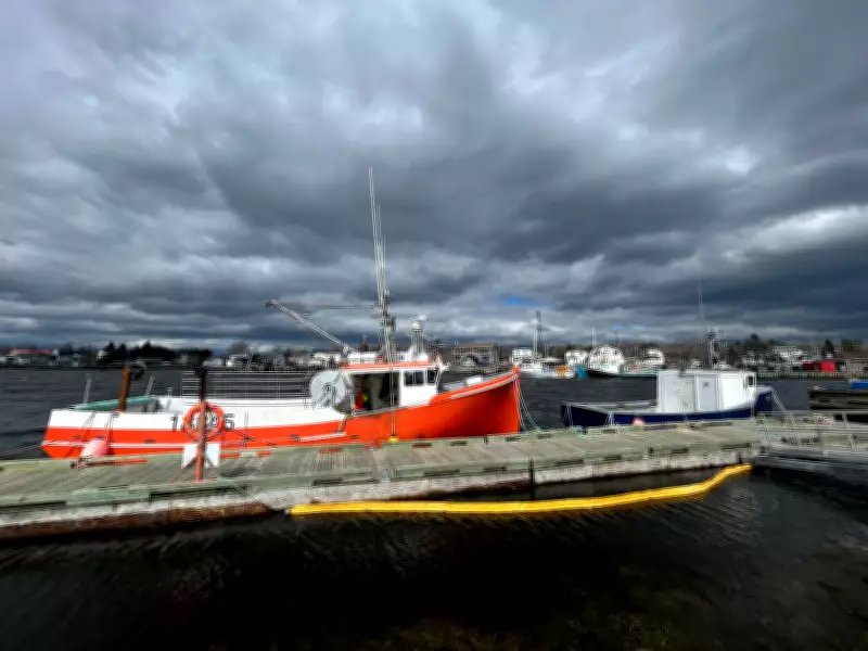 Nova Scotia's Lobster Industry Aims to Rekindle Chinese Market Interest with Fresh Supply
