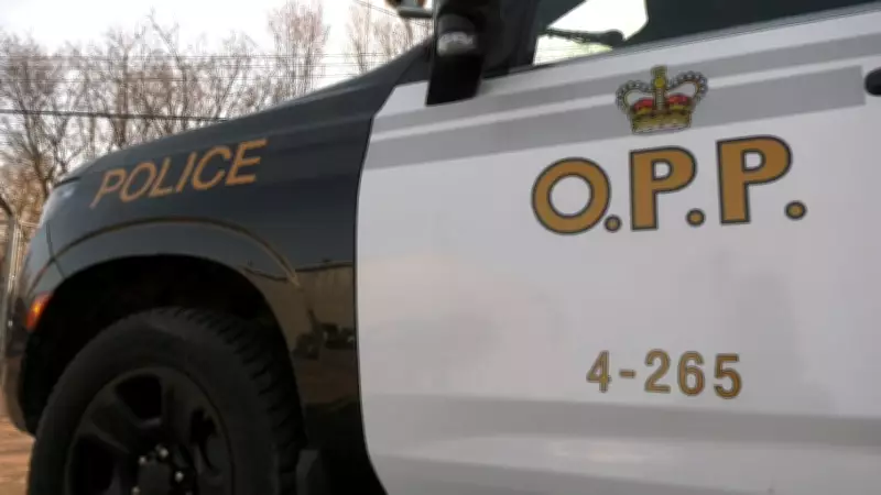 Novice Driver Faces Multiple Charges After Traffic Stop in Ontario