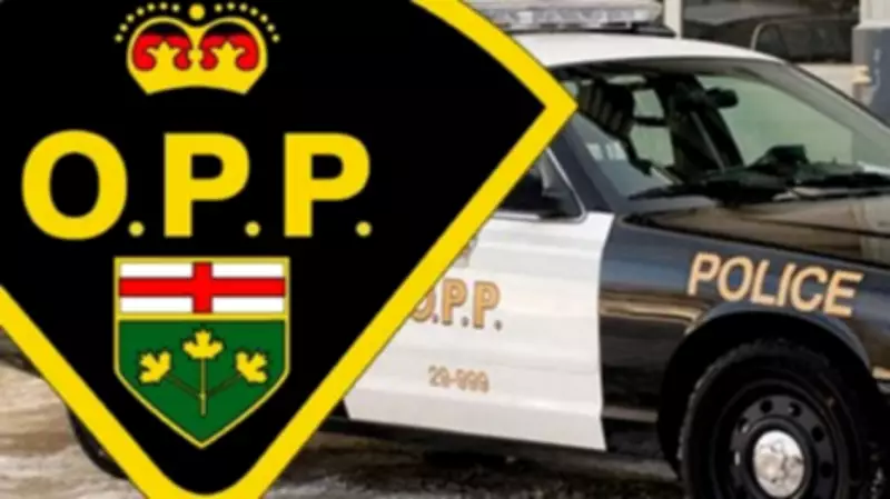 One Fatality in Head-On Collision on Highway 21 Near Port Elgin