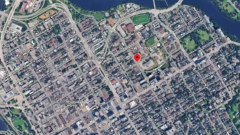 Ontario Police Watchdog Investigates Ottawa Arrest, Seeks Witnesses