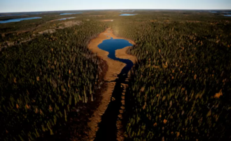 Ontario's Repealed Endangered Species Act: What Replaces It?