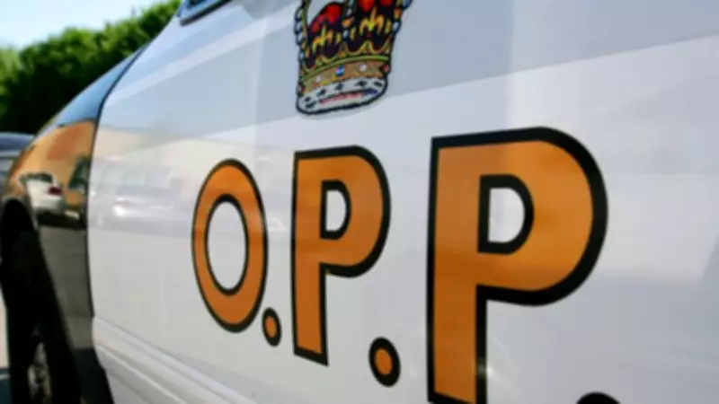 OPP Charges Leeds County Girls for Distributing Child Exploitation Materials