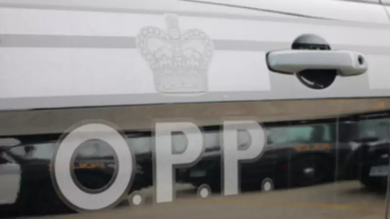 OPP Deploys Spike Belt to Halt Erratic Driver in Barrie, Ontario
