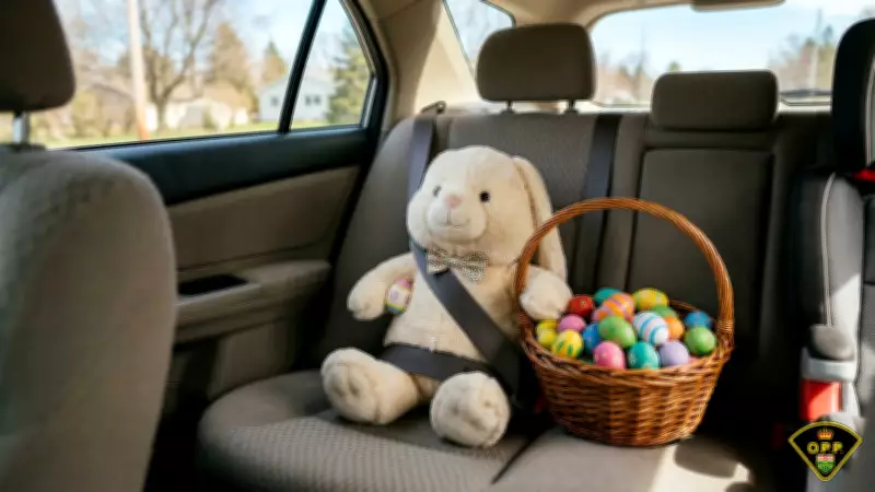 OPP Urges Motorists to Buckle Up for Easter Travel Amid Heavy Rain Forecast