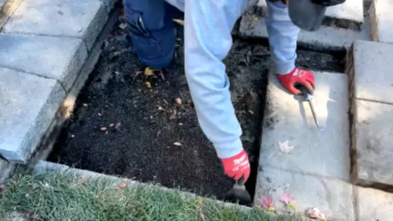 Ottawa Committee Approves Motion to Loosen Landscaping Bylaw Regulations