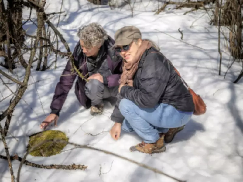 Ottawa Forest Therapy: Deep Breathing and Turkey Deterrence in Nature