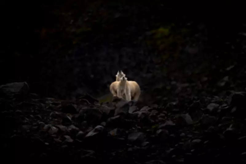 Ottawa Photographer Wins Gold at World Photographic Cup