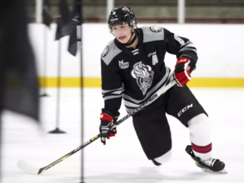 Ottawa Senators Owner Michael Andlauer Explores Purchase of Gatineau Olympiques