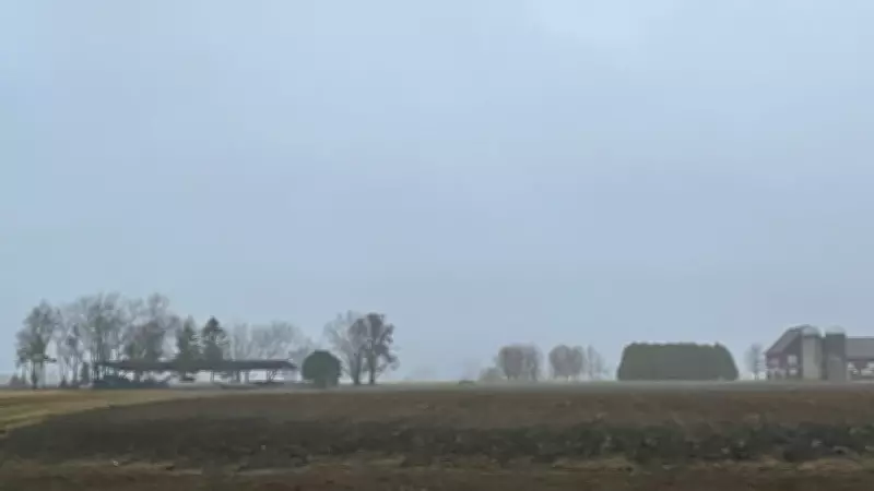 Ottawa's Foggy Thursday: A Glimpse into National and Local News Headlines