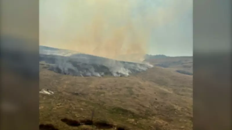 Out-of-Control Wildfire Rages in B.C.'s Thompson-Okanagan Region