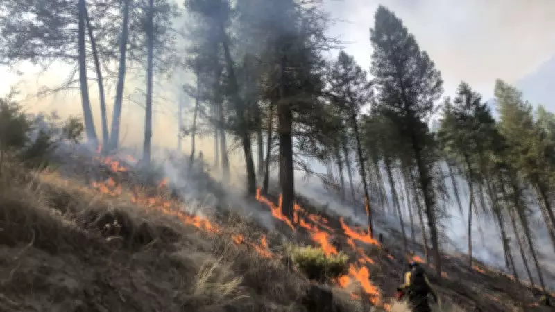 Parks Canada Proposes Prescribed Wildfire for Jasper National Park This Spring