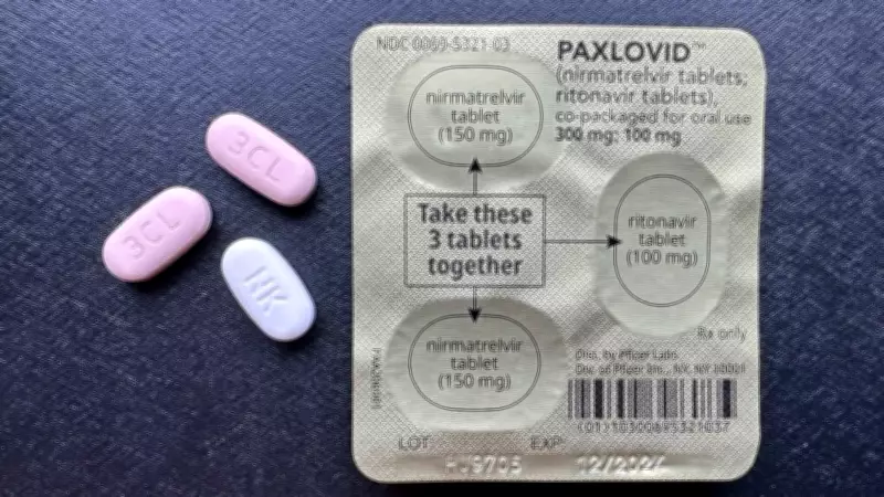 Paxlovid May Not Cut Hospitalizations But Could Speed Recovery: Study