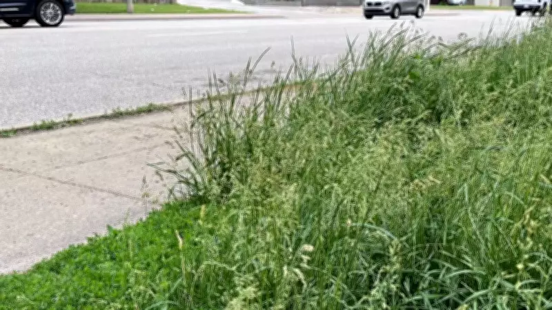 Peel Region Proposes New Lawn Framework After Previous Bylaw Overturned