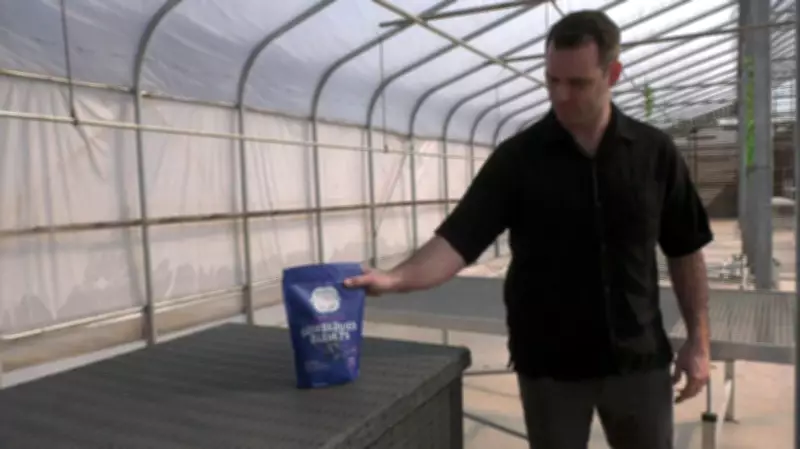 P.E.I. Exporters Turn to Asian Markets Amid Trade Shifts