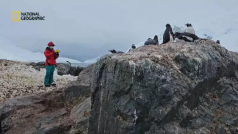 Penguin Expert Heather Lynch to Speak at Calgary's Werklund Centre