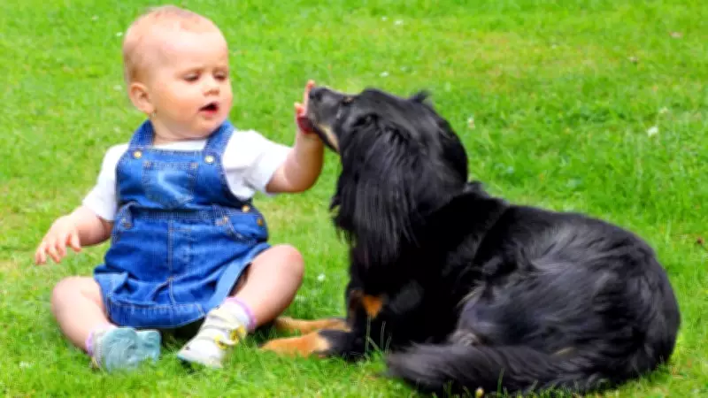 Pet Safety Guide for New Parents: Protecting Babies and Animals