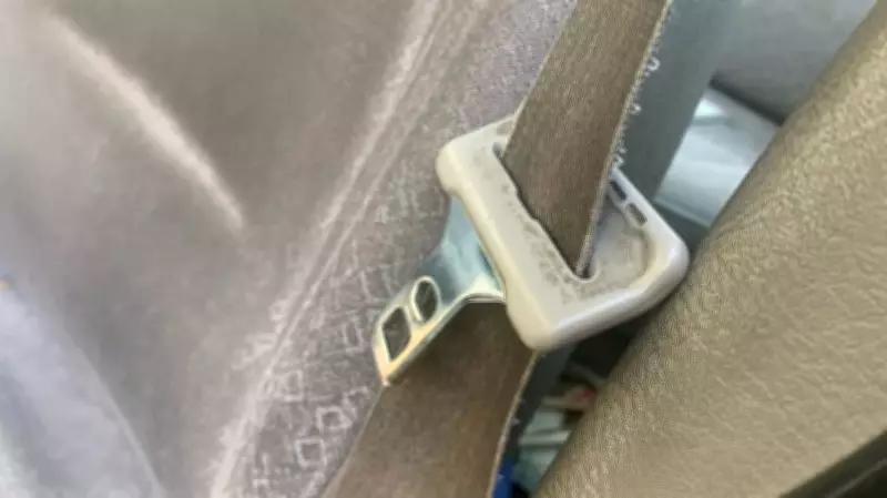 Police Report Unbelted Driver in Highway 400 Crash Near Barrie