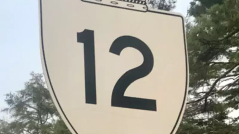 Police Search for Driver Who Fled After Striking Youth Pedestrian