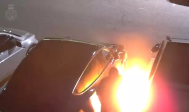 Police Seek Arson Suspect After Vaughan Car Dealership Fire Caught on Video