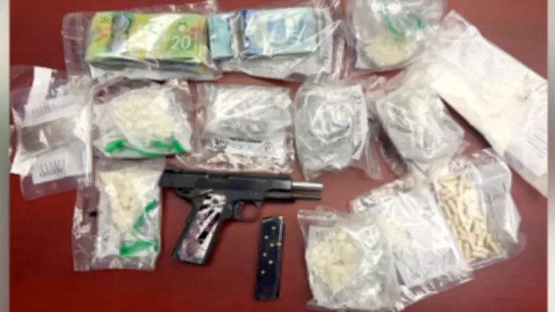 Police Seize $172K in Drugs, Cash, and Handgun in Northwestern Ontario