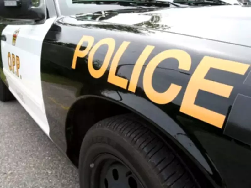 Quebec Man, 49, Arrested After Ramming OPP Cruisers on Highway 401