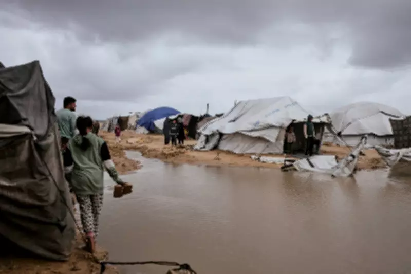 Rats Infest Gaza Tent Camps, Biting Children and Spreading Disease