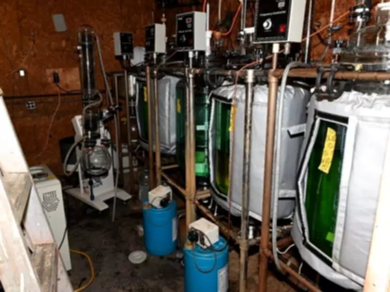 RCMP Dismantles Multi-Million Dollar Synthetic Drug Lab on Ontario Farm