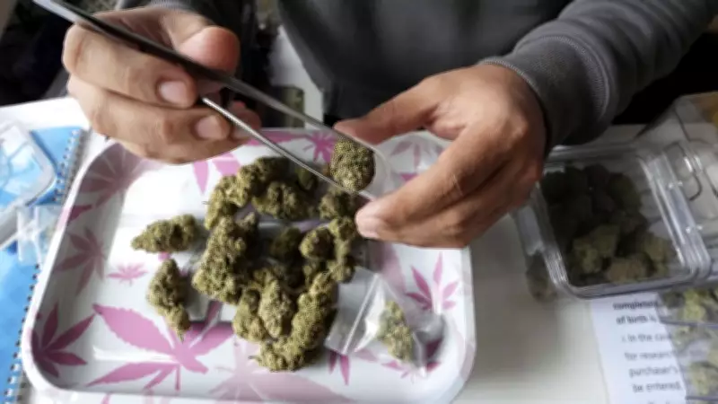 RCMP Finds No Evidence for N.S. Government Cannabis Claims