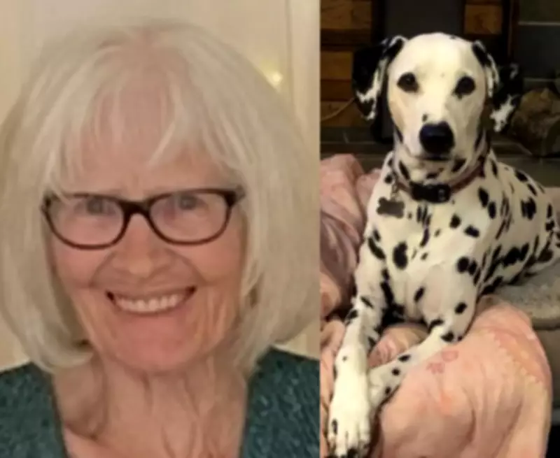 RCMP Intensifies Search for Missing Alberta Senior in Saskatchewan Border Area