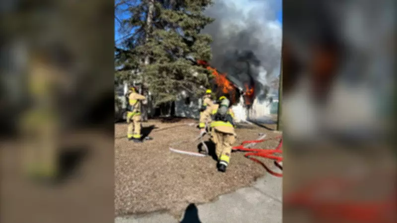 Regina Firefighters Contain Multiple Weekend Blazes, Rescue Cat