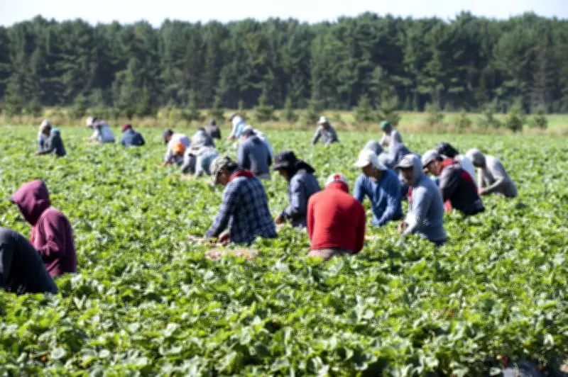 Rural B.C. Communities Urge Province to Back Foreign Worker Program Reforms