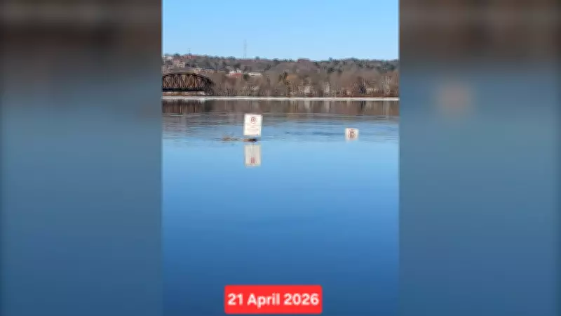 Saint John River Reaches Flood Stage in New Brunswick, No Heavy Rain Forecast