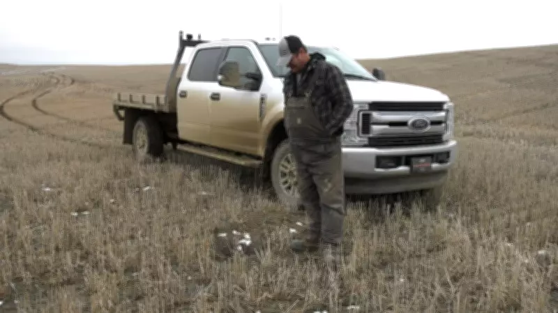 Saskatchewan Farmers Excluded from Strychnine Approval Amid Gopher Crisis