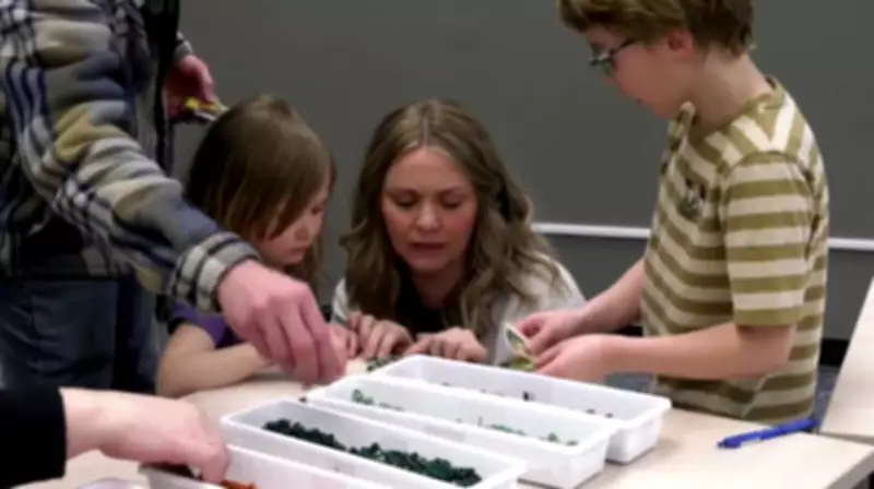 Saskatoon Embarks on Monumental 16-Foot Lego Mosaic Construction Project