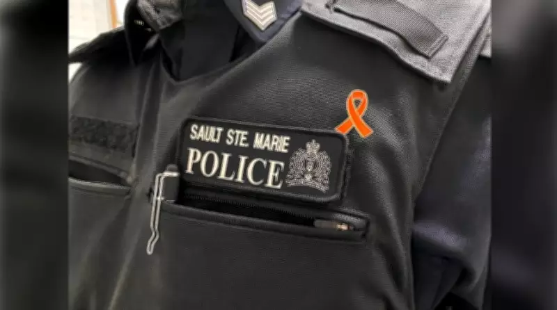 Sault Police Charge Incarcerated Man in February Crime Spree