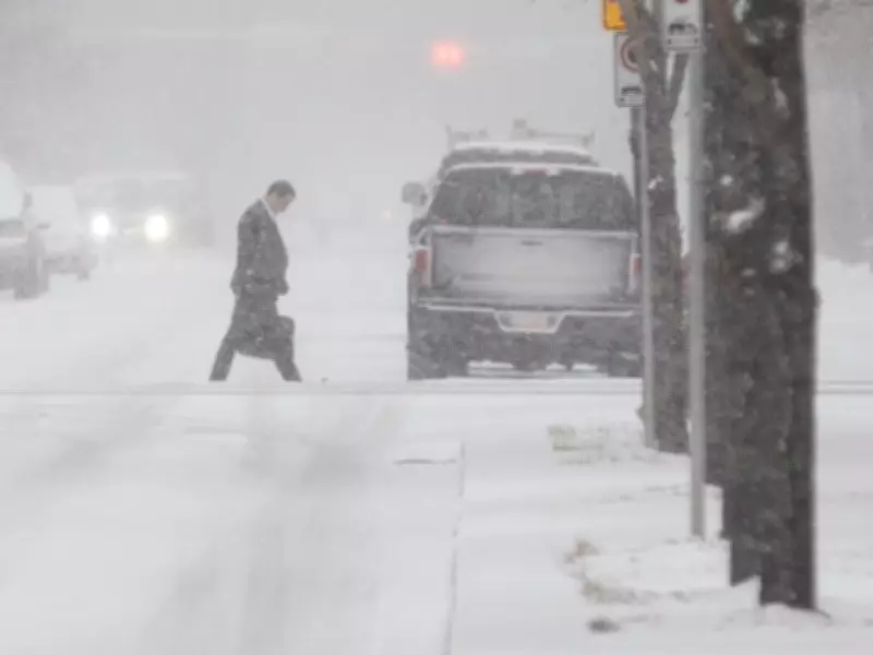 Snowstorm to Hit Calgary: Reduced Visibility Expected Through Saturday