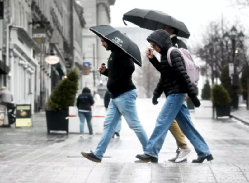 Spring Arrives, But Winter Lingers: When Will Nature Catch Up?