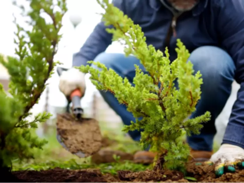 Spring Gardening Clean-Up Checklist: Essential Tasks for a Healthy Yard